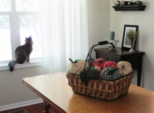 Fabric Pumpkins from Men